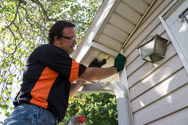 Best Same-Day Junk Removal Services  in Dryden, MI